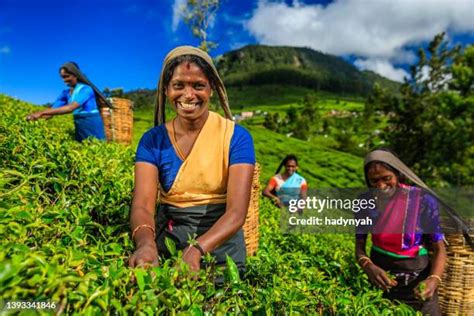 5,743 Tamil Ladies Stock Photos & High